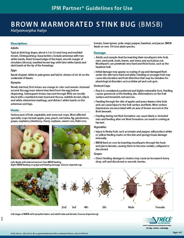 Agricultural Insect Management Guidelines